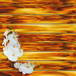 Similar image 8321706