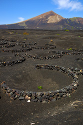 Similar image 8321714