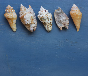 Similar image 8321720