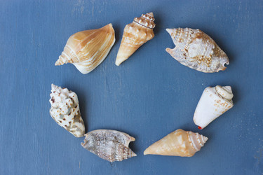 Similar image 8321721