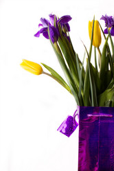 Similar image 8321723