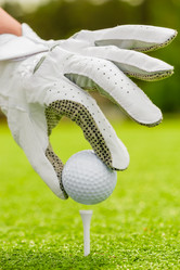 Similar image 8321733