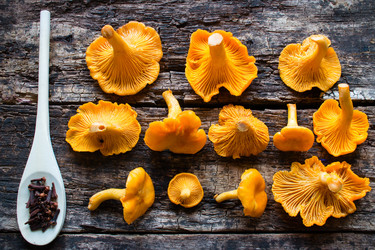 Similar image 8321748