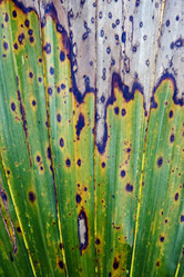 Similar image 8321767