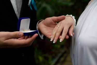 Similar image 8321784