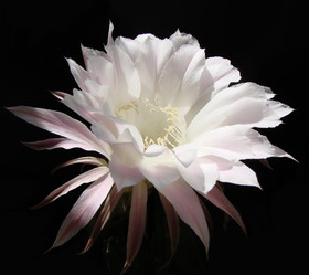 Similar image 8321789