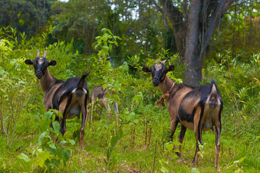 Similar image 8321790