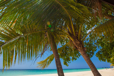 Similar image 8321799