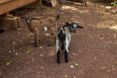 Similar image 8321802