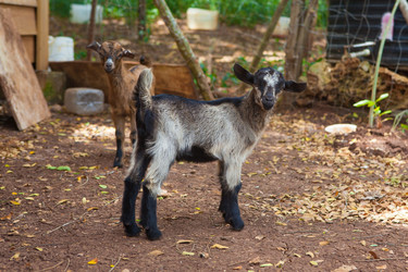 Similar image 8321803