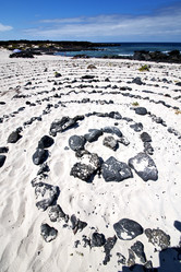 Similar image 8321829