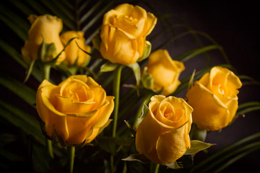 Similar image 8321904