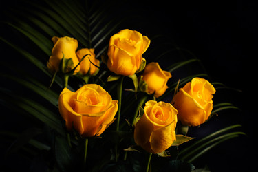 Similar image 8321906