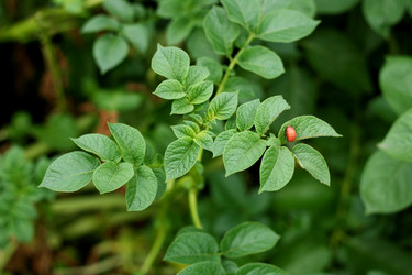 Similar image 8321912