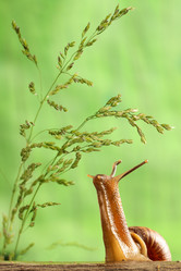 Similar image 8322284