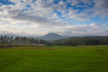 Similar image 8322302