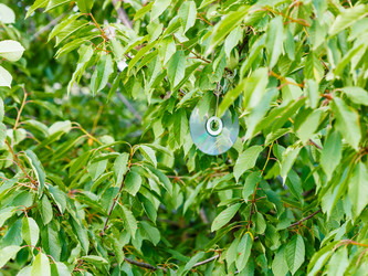 Similar image 8322430