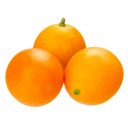 Similar image 8322477