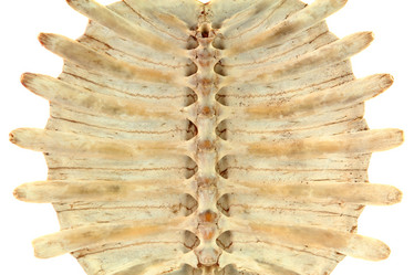 Similar image 8322479