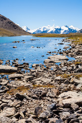 Similar image 8322578