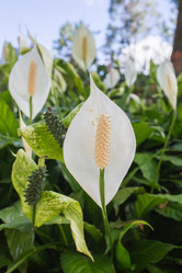 Similar image 8322580