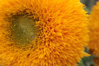 Similar image 8322603