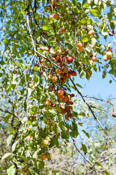 Similar image 8322652