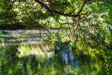 Similar image 8322683