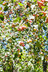 Similar image 8322684