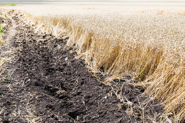 Similar image 8322727