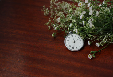 Similar image 8322792