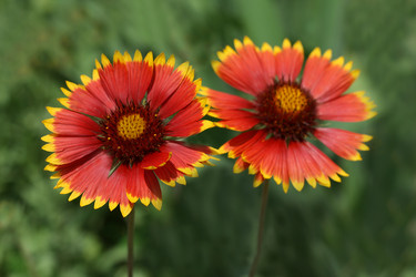 Similar image 8322795