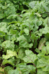 Similar image 8322797