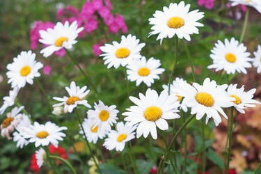 Similar image 8322974