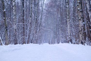 Similar image 8323029