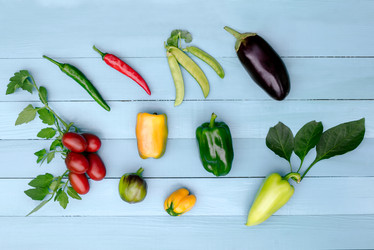 Similar image 8323040