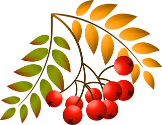 Similar image 8323102