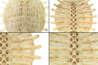 Similar image 8323111