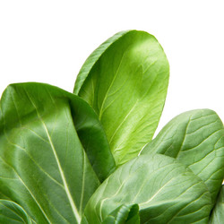 Similar image 8323114