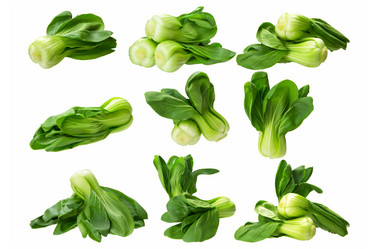 Similar image 8323115