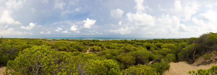 Similar image 8323324