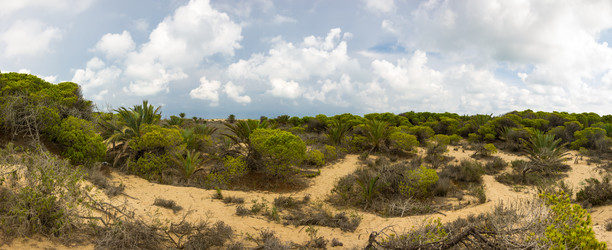 Similar image 8323325