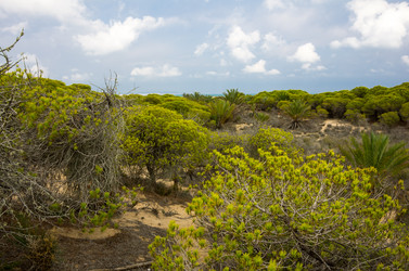 Similar image 8323327