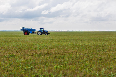 Similar image 8323341