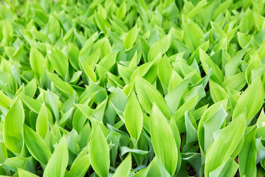 Similar image 8323346