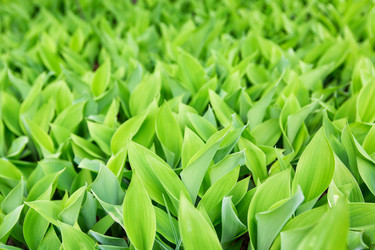 Similar image 8323347