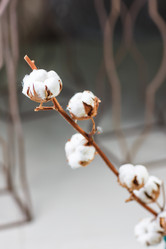 Similar image 8323349