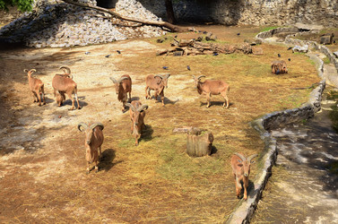 Similar image 8323368