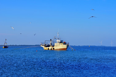 Similar image 8323370