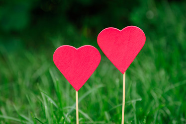 Similar image 8323403